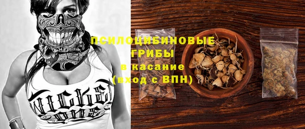 PSILOCYBIN Абдулино