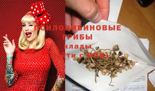 PSILOCYBIN Абдулино