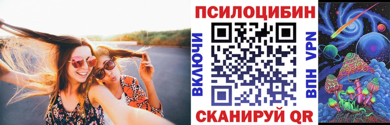 Галлюциногенные грибы Psilocybine cubensis  Никольск 
